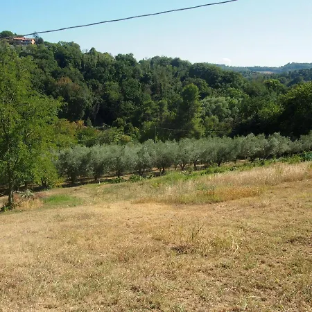 Ardizio 43 Penzion Pesaro