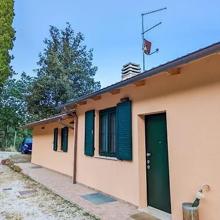 Ardizio 43 Pesaro
