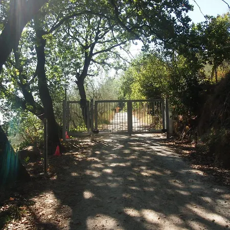 Pensión Ardizio 43 *