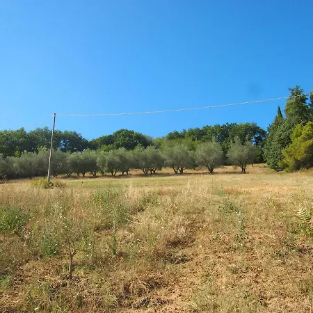 Ardizio 43 * Pésaro